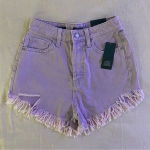Wild Fable Purple High Rise Shorts in a Size 2